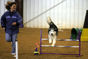 Faith Jumping