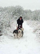 Sledding