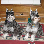 Ada and Libby