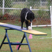 Frisbee
