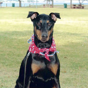 Kona
